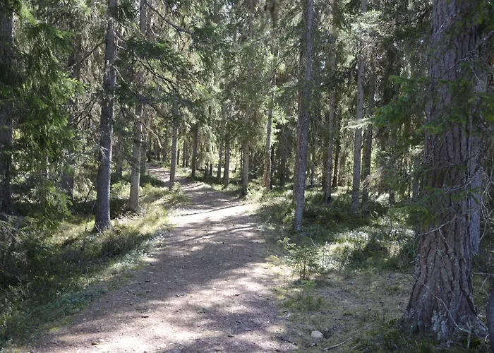 16 - Fulufjellets National Parks - This Is The Place Where Norway And Sweden Meet In A Large Protected Area Appartement *