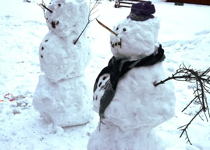 16 - Fulufjellets Nasjonalparker - Snø - Alpint - Langrenn - Snøscooter