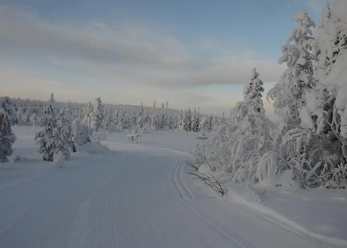 16 - Fulufjellets Nasjonalparker - Snø - Alpint - Langrenn - Snøscooter Leilighet Ljørdal