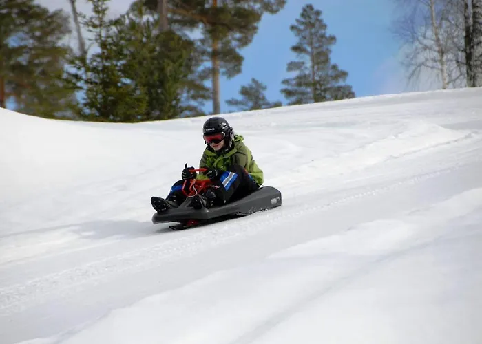 16 - Fulufjellets Nasjonalparker - Snø - Alpint - Langrenn - Snøscooter Ljørdal