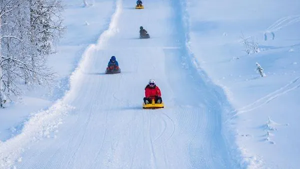 Leilighet 16 - Fulufjellets Nasjonalparker - Snø - Alpint - Langrenn - Snøscooter *