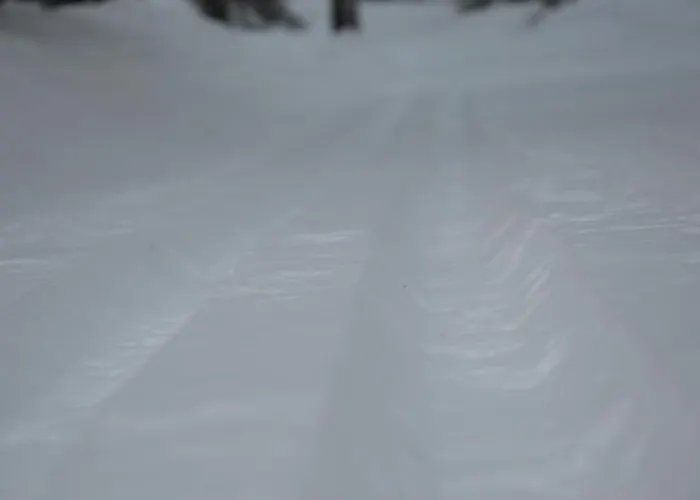 Leilighet 16 - Fulufjellets Nasjonalparker - Snø - Alpint - Langrenn - Snøscooter